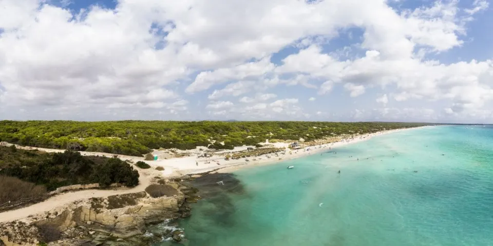 Playa-Sa-Rapita-Majorque