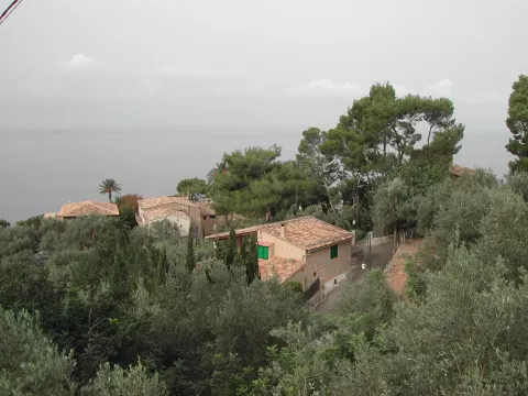 Lluc Alcari