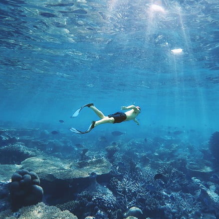 Buceo subacuatico en Fornells