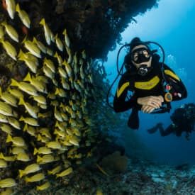 Binibeca Diving